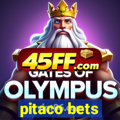 pitaco bets